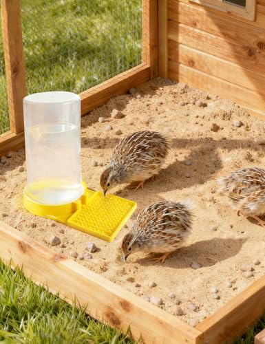 Large Capacity Quail Water Feeder,Button Quail Supplies for Quails Cage, Multi-Use as Quail Feeder, Quail Waterer, Chick Waterer,Baby Chick Waterer, Ideal Quail Feeders for Baby Bird