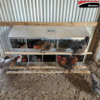 Brower 2-Tier 10-Hole Galvanized Steel Chicken Nesting Box, 50 to 60 Hen Capacity – Outdoor Poultry Laying Station with Hinged Folding Perches, Ventilated Design & Slanted Roof – Made in the USA - size: 10-Hole
