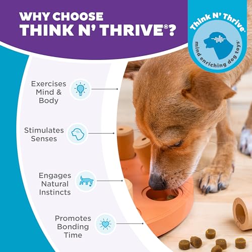 Outward Hound by Nina Ottosson Dog Smart Treat Puzzle Enrichment Toy, Level 1 Beginner, Orange, Composite - color: Dog Smart Composite (Orange)