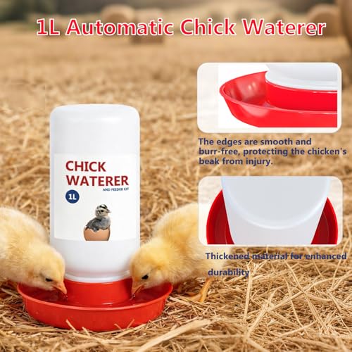 Chick Feeder and Waterer Set, 3 Pcs Baby Chicken Supplies with Chicks Feeder Trough and 1L Waterer, Chicken Starter Kit for Small Poultry Ducks Quail Coop