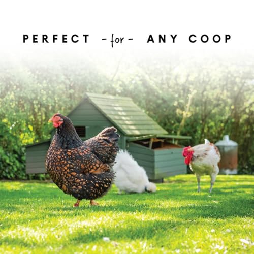 Harris Farms Plastic Hanging Poultry Feeder, Twist and Lock Base, For Medium to Large Flocks, Feeds up to 25 Birds, 10 lbs