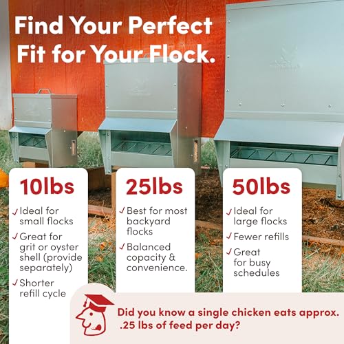 RentACoop Metal Trough Feeder with Lid & Rain Cover – Galvanized Steel – Side View Window – Moveable Grate for Easy Cleaning – Suitable for Chickens, Ducks, Poultry & More – 50lb Capacity - size: 50LB Capacity