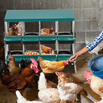 Chicken Nesting Boxes,8 Hole Metal Roll Away Eggs Laying Boxes with Ventilation Holes，Rustproof Plastic Tray & Keyhole Mounting, Cleanable Pull Out Nest Box for Hen & Duck, Green - color: Green, size: 8 holes with legs