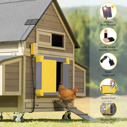 Aivituvin Automatic Chicken Coop Door Solar Powered, Automatic Chicken Door with LCD Display, Direct Power Supply Auto Chicken Door Opener with Timer for All Chicken Coops (Grey)