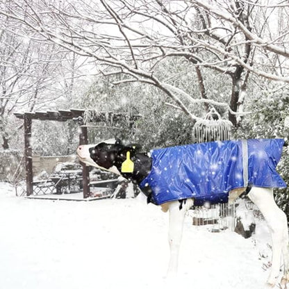 Calf Blanket Livestock Waterproof Warm Goat Blankets with Reflective Strips and Fasten Tape Windproof 3 Layers Thickened Calf Coat Vest for Winter Farm Livestock Supplies