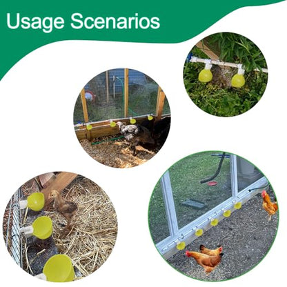 Automatic Chicken Waterer with Nuts 12Sets Bird Drinker Cups Watering System for Quail Pigeon Poultry Drinking