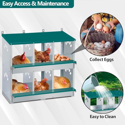 Rustproof Galvanized Steel Build - Chicken Nesting Box for Small Animals - 6 Compartments, Large Vented Holes, Easy Clean, Secure Egg Collection, Wall-Mounted - Green, 6 Compartments ZW - color: Green | 6 Compartments+legs