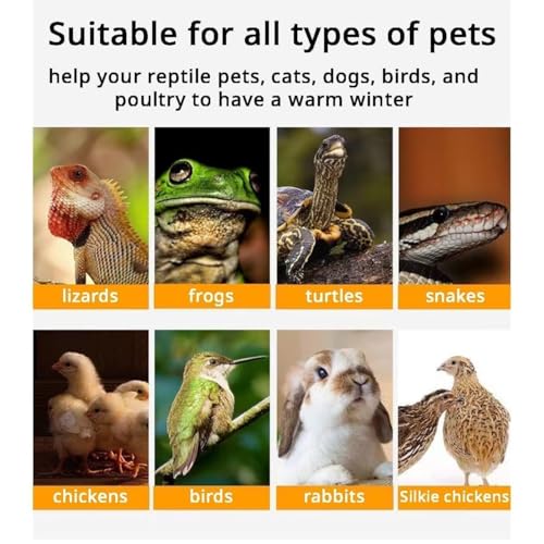 MANON ROSA Bird Cage Heater for Parakeets Chickens Parrots - Thermostatic Socket, Non-Light Emitting Lamp with 2 Ceramic Bulbs (E27 110V) - Small Pet Winter Warming Equipment(50W&100W)