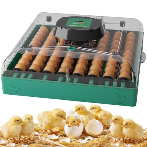 Incubators for Hatching Eggs, 72 Eggs Hatching Incubator with Automatic Egg Turner & Humidity Control & Digital Temp, 360° Clear View for Chicken/Duck/Quail Perfect for Lab School Farm