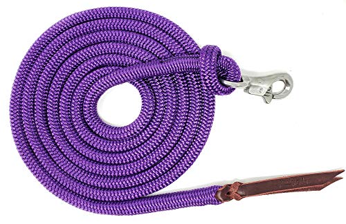 Four Knot Rope Halter and 12 Foot Lead Rope Training Set (Purple, Large) - color: Purple, size: Large