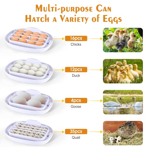Egg Incubator with Automatic Egg Turner, Temperature Control, and Egg Candle Function - Perfect for Hatching Chicken, Duck, and Turkey Eggs at Home or on The Farm