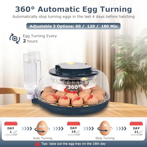 Incubators for Hatching Eggs, 18 Eggs Incubator with Egg Candler, Auto Egg Turner, Temp & Humidity Control, Hatch Day, Auto Water Refill, 2 Size Egg Tray, 360° Viewing for Chicken, Duck, Quail - size: 18 Chicken Eggs