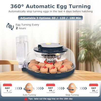 Incubators for Hatching Eggs, 18 Eggs Incubator with Egg Candler, Auto Egg Turner, Temp & Humidity Control, Hatch Day, Auto Water Refill, 2 Size Egg Tray, 360° Viewing for Chicken, Duck, Quail - size: 18 Chicken Eggs
