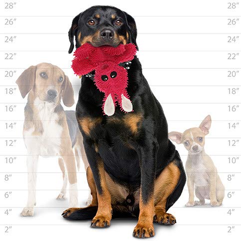 MIGHTY® 2 Pack Microfiber Medium Rabbit Dog Toys | Ultra Durable Plush Toy with Multiple Layers & Reinforced Seams , Washable and Floats , Mighty® Construction - color: 2PK Pink Rabbit