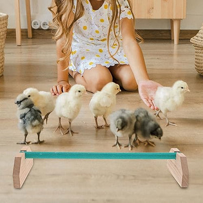 Chicken Coop Accessories Indoor Swing Wooden Chicken Perch Bird Wood Stand for Large Bird Parrot Macaw Chicks in Coop Brooder and Cage Wooden Toys Wood Toys