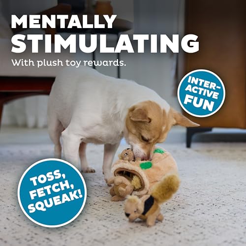 Outward Hound Hide-A-Squirrel Dog Toy – Interactive 2‑in‑1 Plush Puzzle with 3 Squeaky Removable Squirrels, Small - color: Squirrel Small