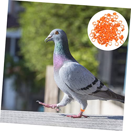UPKOCH 100pcs Pigeon Foot Rings Numbered Leg Bands for Bird Identification Durable Clip Rings for Pigeons Parakeets and Poultry Easy to Use Bright - color: Orange