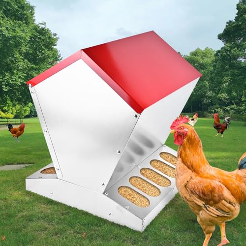 shengyi 11.5-55lbs Galvanized Chicken Feeder - Rat Proof Poultry Feeder with Lid Weatherproof Outdoor Coop Food Dispenser (55lbs 15.7x15.7