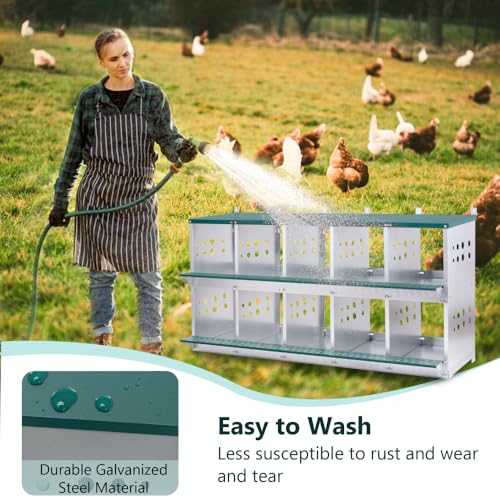 Durable Metal Chicken Nesting Box for Hens, Wall-Mounted Poultry Egg Laying Compartment with Ventilation and Easy-Clean Design (10-Hole,Green) - color: 10-Hole,Green