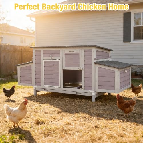 Aivituvin Large Wooden Chicken Coop, Double Nesting Boxes, Waterproof Asphalt Roof, Stainless Steel Hardware, Pull-Out Tray, Secure Poultry House for 2–4 Chickens - color: Grey, size: 67.0"L x 25.0"W x 28.0"H