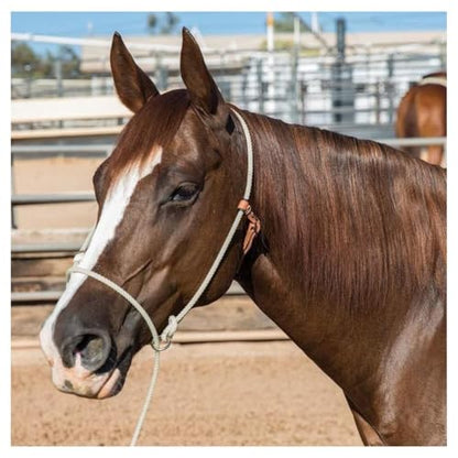 PROFESSIONAL'S CHOICE Halter Lariat Leash/Training, Color: Natural, Size: Universal (4794)
