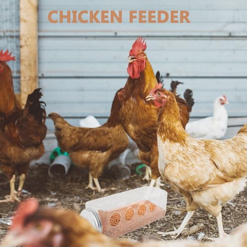 Happyyami Automatic Chicken Feeder Feeding System Rutin Chicken Water Bowl Plastic Box