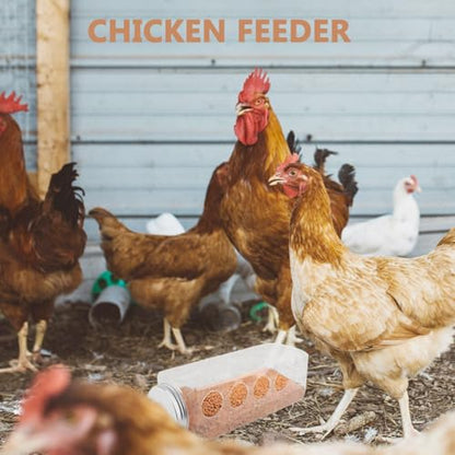 Happyyami Automatic Chicken Feeder Feeding System Rutin Chicken Water Bowl Plastic Box