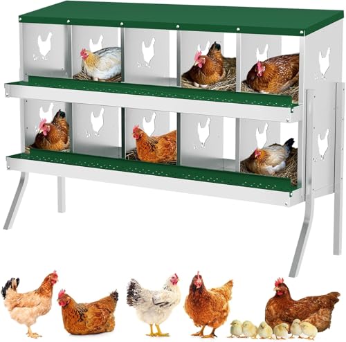 TrailBlaze 10 Compartment Chicken Nesting Box with Metal Legs, Chicken Egg Laying Boxes with Rollout Egg Collection, Large Vented Holes Chicken Coop for Chickens, Hens (Green) - color: Green, size: 10 Holes with Legs