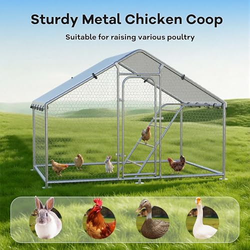 Large Metal Chicken Coop with Roosting Perch, Waterproof and UV-Resistant Cover,Outdoor Walk-in Cage Hen House for Yard Farm Rabbit Duck Chicken Run with Spire Roof(9.9'W x 5'L x 6.4'H) - size: 59.9"L x 118.0"W x 78.0"H