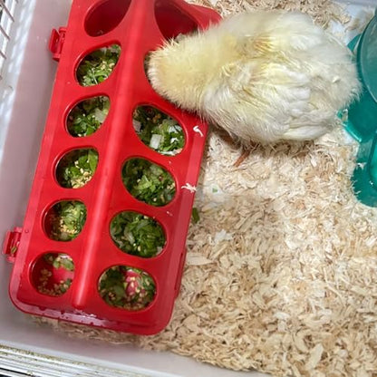 Oncpcare Poultry Feeder and Waterer Set, 4 Pack Chick Feeders and 2 Pack 3L Chicken Waterers Combo Kit | No Spill, Easy Fill Design for Baby Chicks, Ducklings, Quail, Pigeons, Small Poultry Brooder