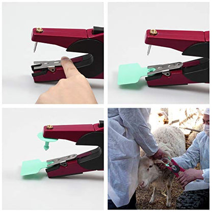 Ear Tag Applicator for Cows Cattle Goat Sheep Pig Animal Ear Tag Pliers Livestock Tool with 2 Replaceable Needle Pins