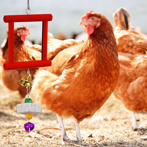 Sumind 2 Pieces Chicken Mirror Toys Hanging Swing Mirror with Bell Wooden Pecking Toy and 4 Pieces Beak Grinding Molar Stones for Hens Birds Parrots(Red,Purple) - color: Red,Purple