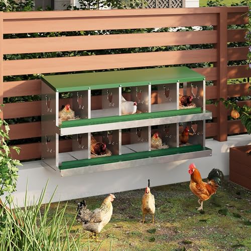 10-Compartment Metal Chicken Nesting Box - with Perch, Secure Lid & Metal Legs, Wall-Mount or Free-Standing Nesting Boxes for Hens - color: green, size: 10 Compartments