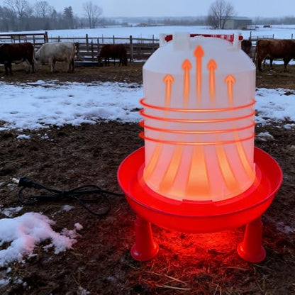 Heated Chicken Waterer, Integrated Temperature Chicken Water Heater with Handle for Chicken Coop, Poultry Water Dispenser for Winter (6, Liters)