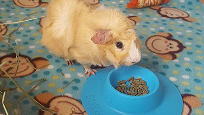 Tip-Proof Ergonomic Pet Bowl for Guinea Pig and Other Small Pets; 1/4-Cup Size; Sky Blue (Pack of 2) - size: Small 1/4 cup (Pack of 2)