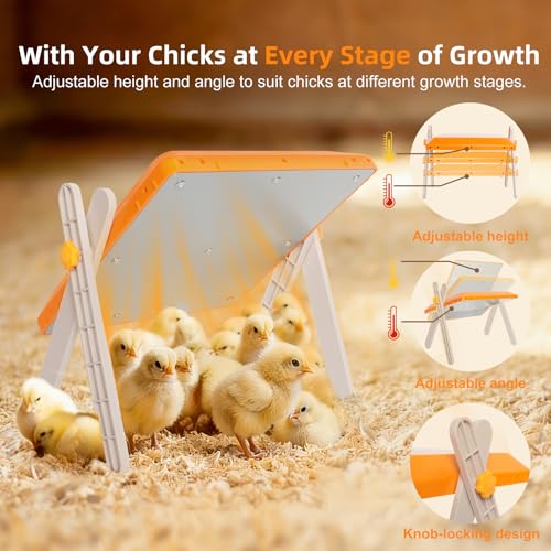 Chick Brooder Heating Plate - Briidea 80W Chicken Heater with Adjustable Temperature, 10 PET Cleaning Film, Adjustable Height & Angle, Warmth Like Mother Hen for 15 Small Poultry 10" x 10" - color: Adjustable Temperature 80–160°F