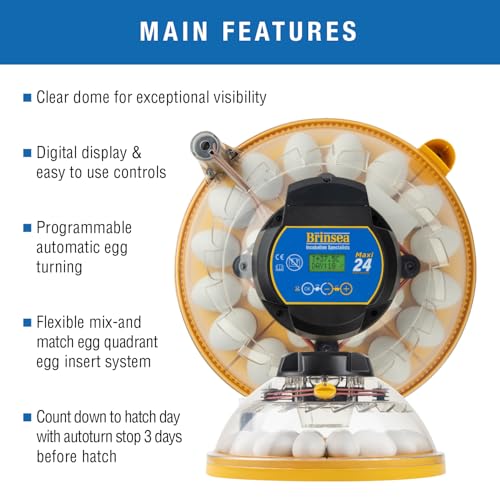 Brinsea Maxi 24 Advance Egg Incubator with Automatic Egg Turning and Temperature Control for Hatching 24 Chicken, Duck, or Other Eggs,- Optimal Flexibility with Mix & Match Sizes - size: 24 Eggs
