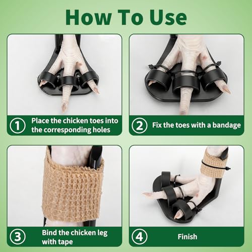 4 Size Chicken Leg Splints with Toe Separator, Durable and Unbreakable PETG Material for Broken Leg Bumblefoot Curled Toes, Reinforced Poultry Leg Brace for Hens Chicks Ducks