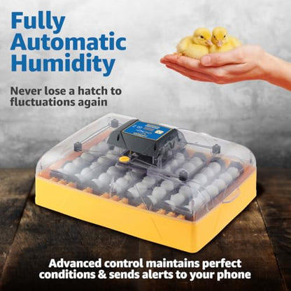 Brinsea Ovation 56 EX Connect App Controlled Egg Incubator with Automatic Egg Turning and Humidity Control for Hatching 56 Chicken, Duck, Other Eggs, Precision App-Driven Digital Controls and Alarms - style: Connected