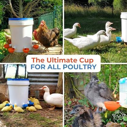Lil'Clucker Large Automatic Chicken Waterer Cups | Chicken Water Feeder Suitable for Chicks, Duck, Goose, Turkey and Bunny | Poultry Water Feeder Kit (Orange, 8-Pack) - size: 8-Pack