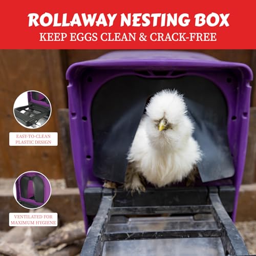 My Favorite Chicken Chick Box Lite Rollaway Nesting Box for Chickens – Single Hole Hen Laying Nest Box with Foldable Perch, Wall Mount, Ventilated Plastic Chicken Nest Box