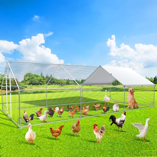 Large Chicken Coop Metal Chicken Runs for Yard 20x10x6.56 FT Chicken Coop with Cover jaulas para gallinas Heavy Duty Chicken Cage Duck Coop Lockable Door with Waterproof and Anti-UV Cover