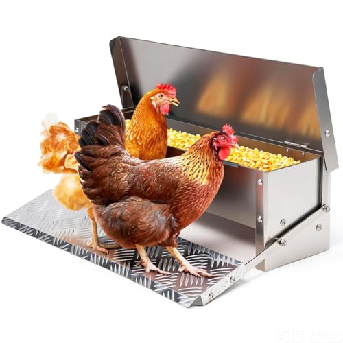 Chicken Feeder No Waste Rat Proof Automatic Treadle Feeder 15 Lbs | Poultry Feeder,Stainless Steel Material,Heavy Duty,With Lid & Legs,Weatherproof,Rainproof,Used for Outdoor & Chicken Coop
