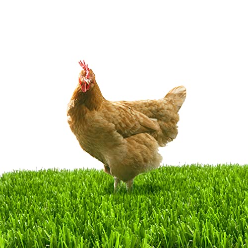 8 Pack Chicken Nesting Box Pads for Laying Eggs - 12"x12"x1.2", Washable Hen Nesting Pads for Chicken Coop, Artificial Grass Chicken Bedding Rug Carpet Synthetic for Garden Lawn Indoor Outdoor