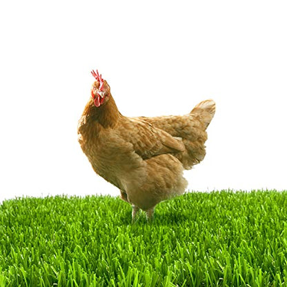 8 Pack Chicken Nesting Box Pads for Laying Eggs - 12"x12"x1.2", Washable Hen Nesting Pads for Chicken Coop, Artificial Grass Chicken Bedding Rug Carpet Synthetic for Garden Lawn Indoor Outdoor