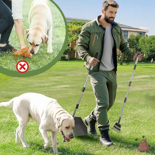 T2Y Dog Pooper Scooper for Multi-Dog Family, Long Handle Rake & Large Tray | 48" Tall No-Bend | 9.4'' Large Tray | Stainless Steel | Adjustable | Works on Grass, Gravel & Dirt | Easy to Install - size: Rake & Large Tray