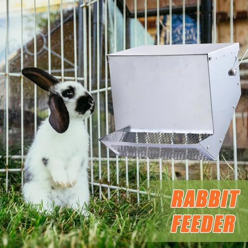Heavy Duty Iron Pet Feeder with Rain Shield and Dirt for Outdoor Use Poultry Supplier