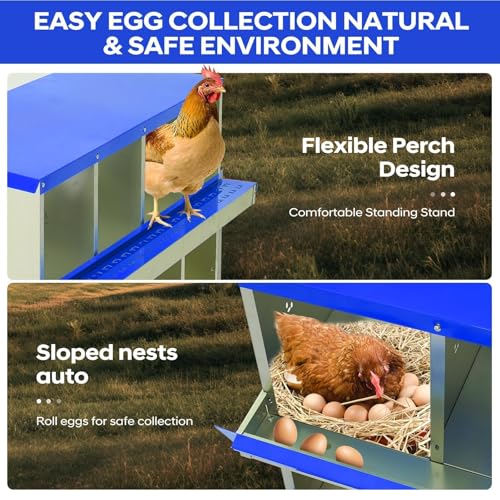 Garvee Chicken Nesting Box, 10 Compartments Nesting Box for Chickens, Galvanized Steel Chicken Laying Box for Easy Egg Collection, Wall Mounting - color: Blue | 10 Compartment+legs