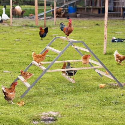 PETSFIT Chicken Roosting Bar-Solid Wood and Rustproof Iron Design, Chicken Perch with Swing for Healthy Poultry-Ideal for Backyard Coops, Farms, Easy to Assemble and Clean - size: 62"Lx24"Wx28"H