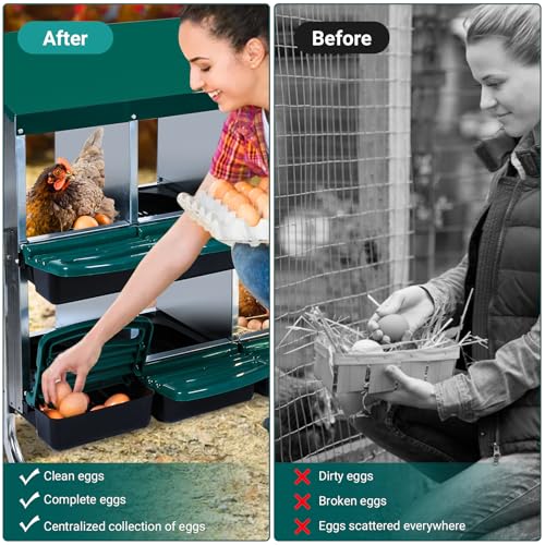 Nesting Boxes for Chickens - 10 Compartment Metal Roll Away Chicken Laying Boxes with Leg, Lid Cover, Protect Eggs, Easy Egg Collection, Chicken Nesting Box for Chicken Coop